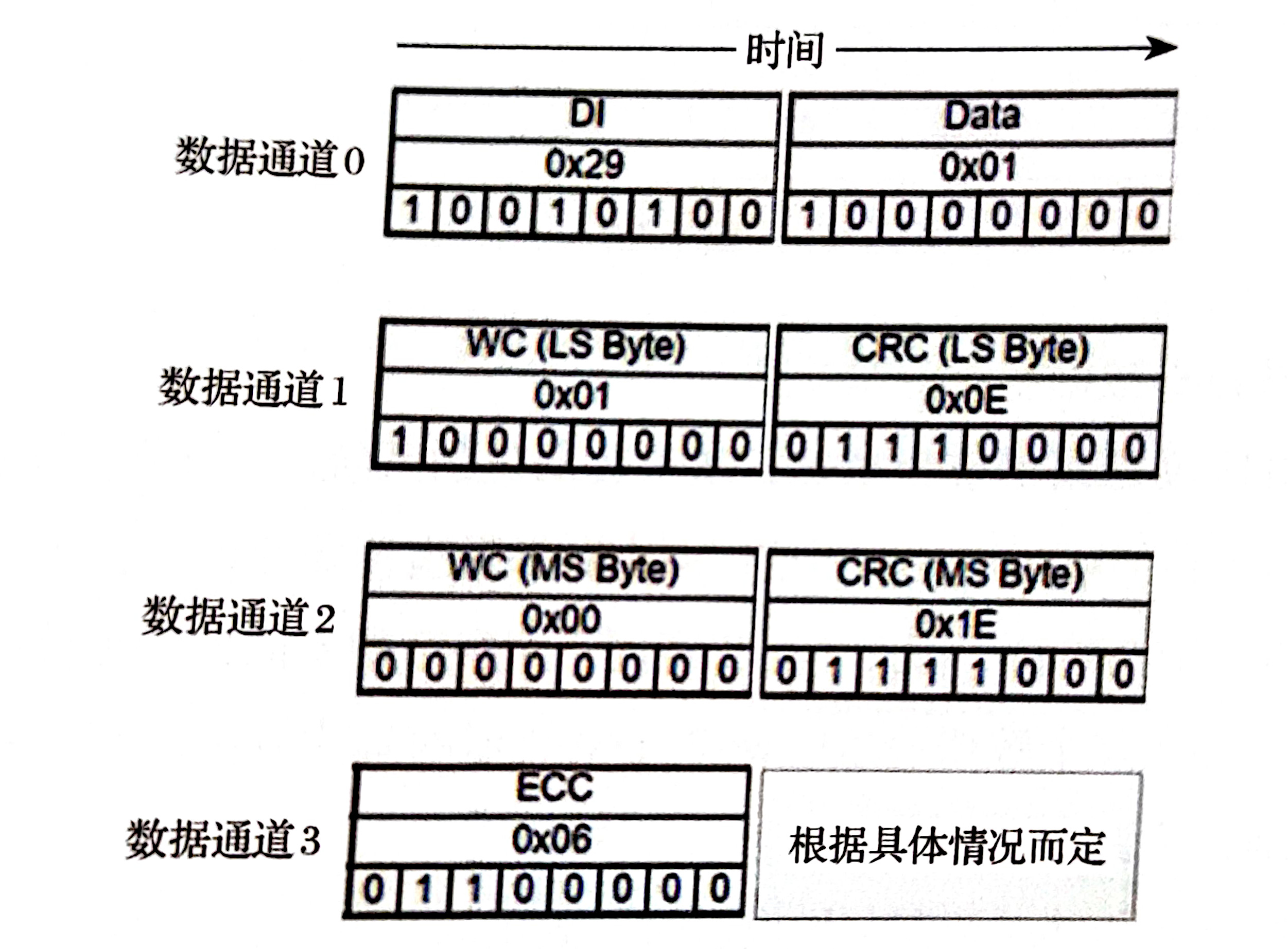 DSI 数据传输字节序